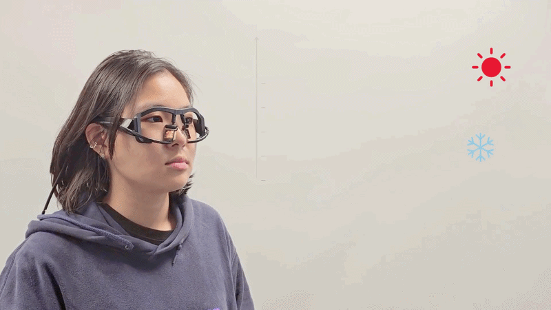 Localized nasal thermal stimulation olfactory perception project